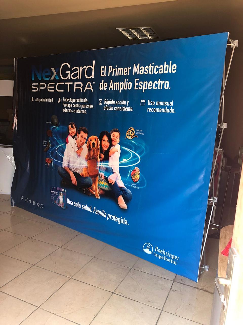 Pared Publicitaria SEG — vista 5